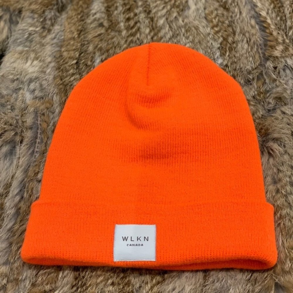 ✨ SOLD ✨ WLKN Hat ☄️